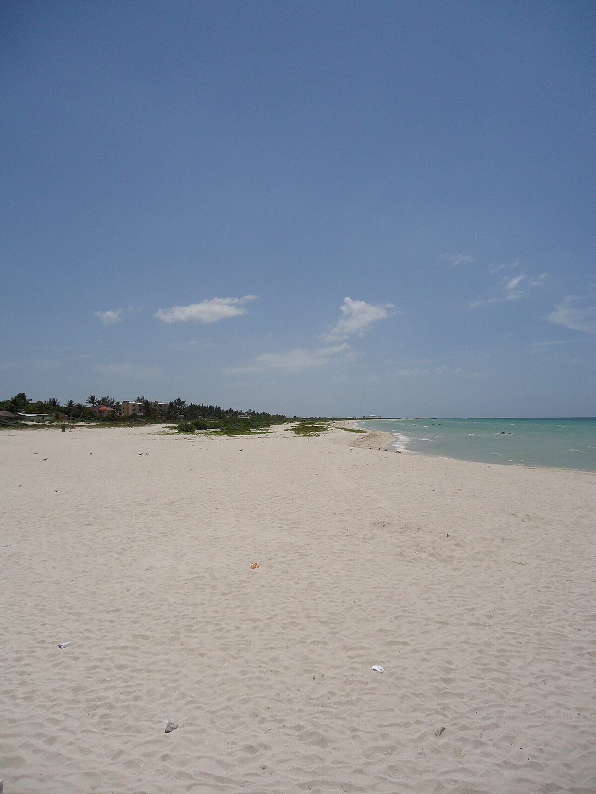 Sisal Yucatán con niños · Guía completa para familias 2026