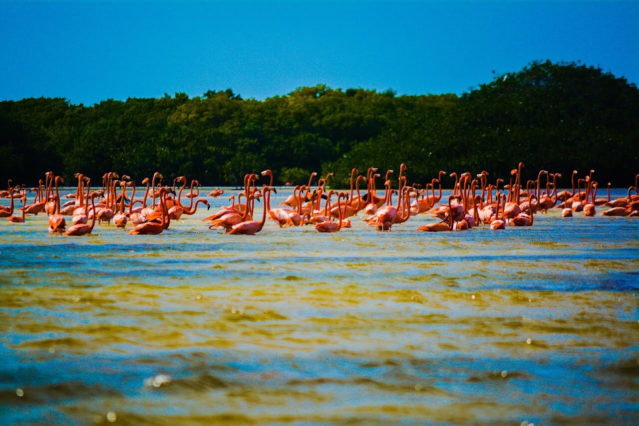 AGUA DEL MAR ECOTURISMO