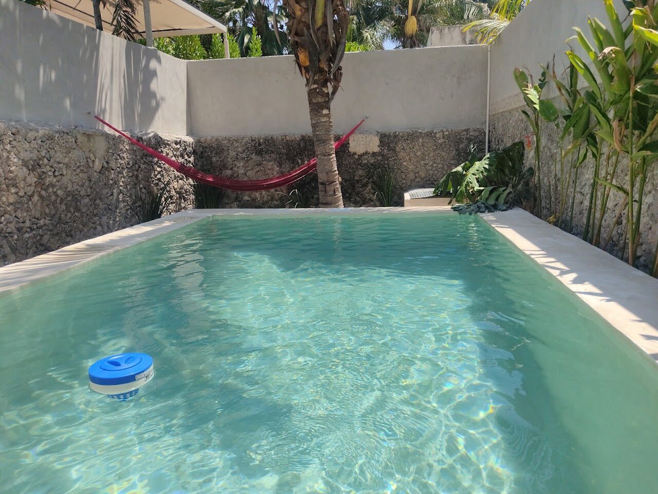 La casa de Don Moo 🌴