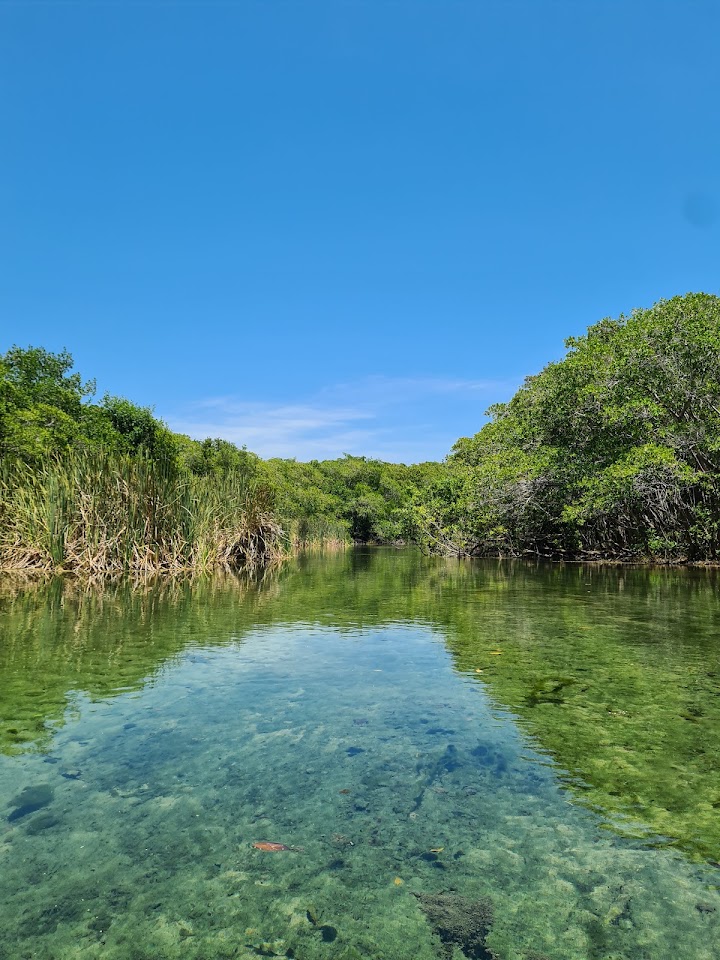 Ojo de agua Carbonera Sisal