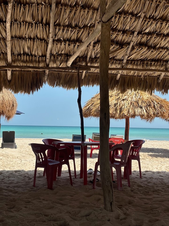 PALAPAS EL DORADO SISAL