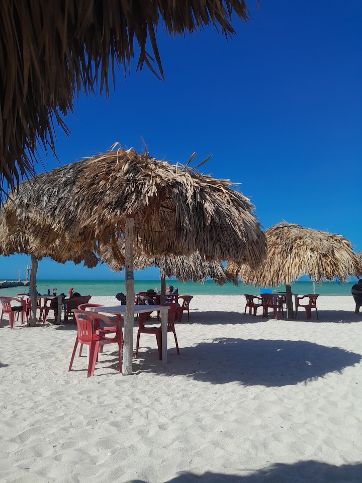 Palapas Muelle de sisal