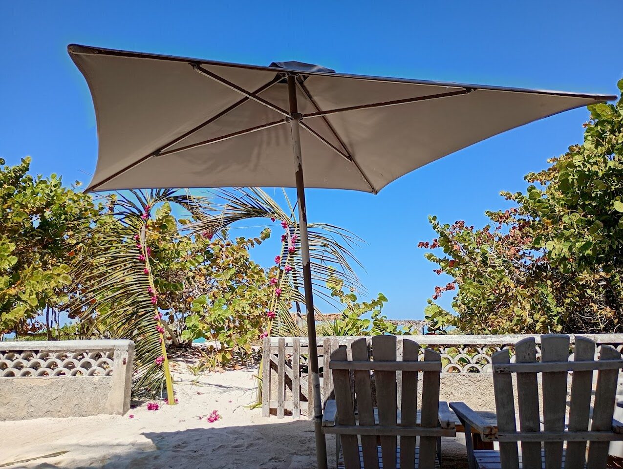 Palmar Sisal - Club de Playa